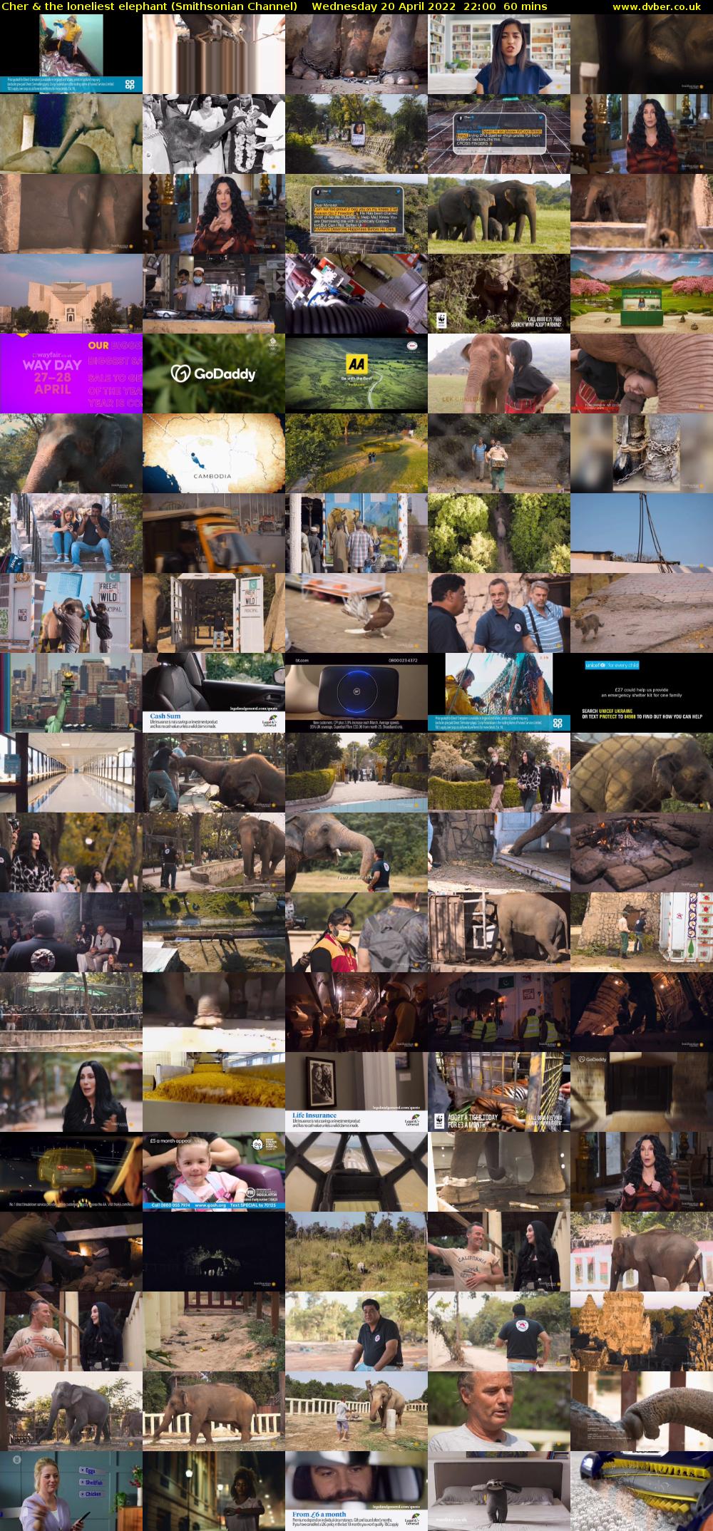 Cher & the loneliest elephant (Smithsonian Channel) Wednesday 20 April 2022 22:00 - 23:00