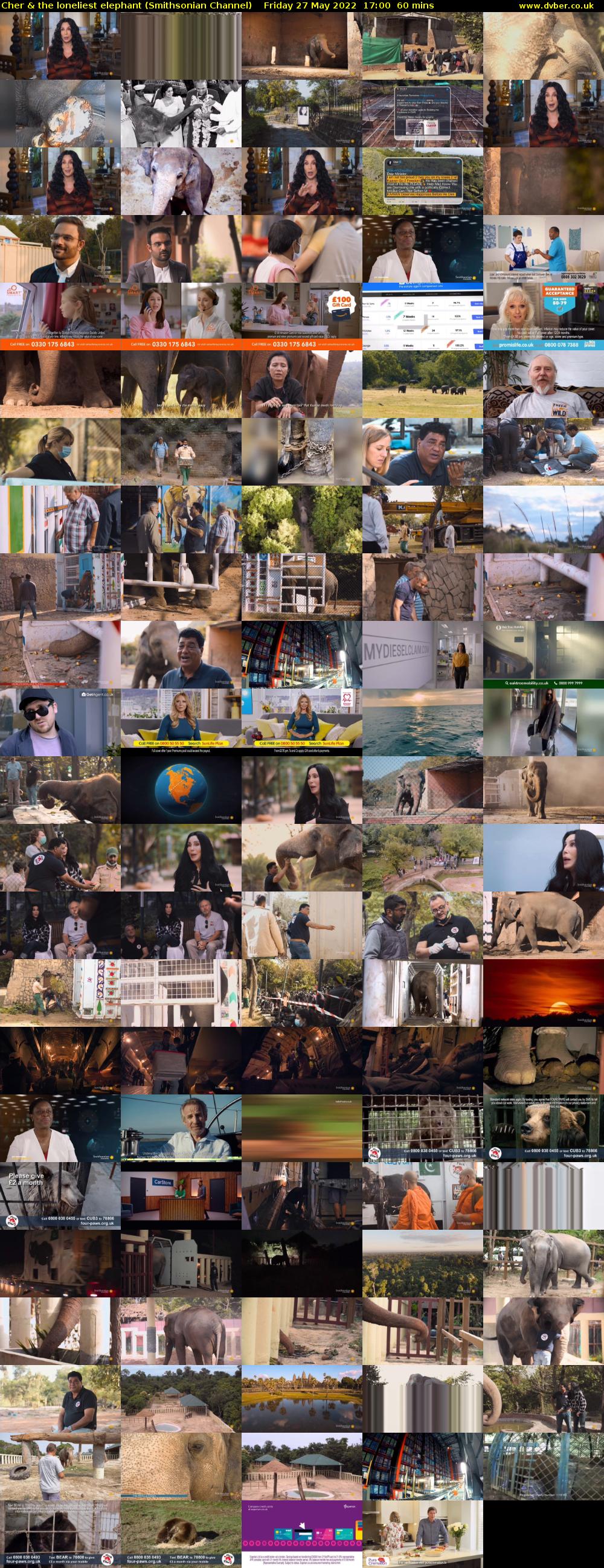 Cher & the loneliest elephant (Smithsonian Channel) Friday 27 May 2022 17:00 - 18:00