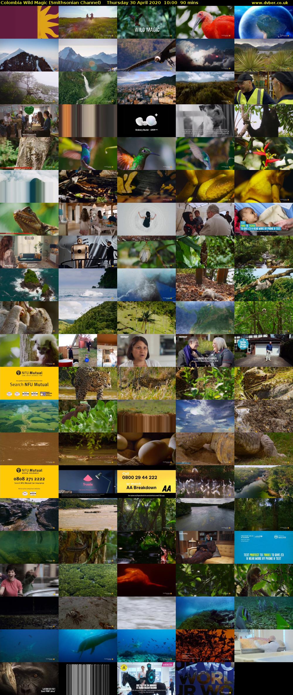 Colombia Wild Magic (Smithsonian Channel) Thursday 30 April 2020 10:00 - 11:30