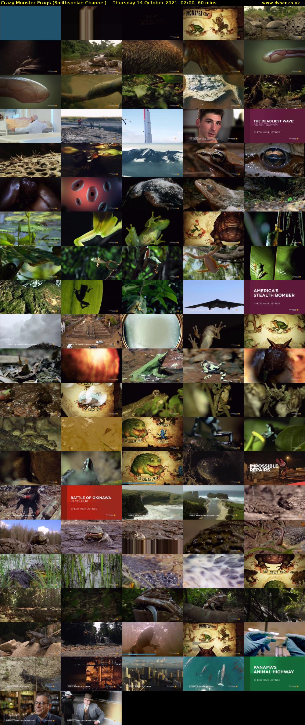 Crazy Monster Frogs (Smithsonian Channel) Thursday 14 October 2021 02:00 - 03:00