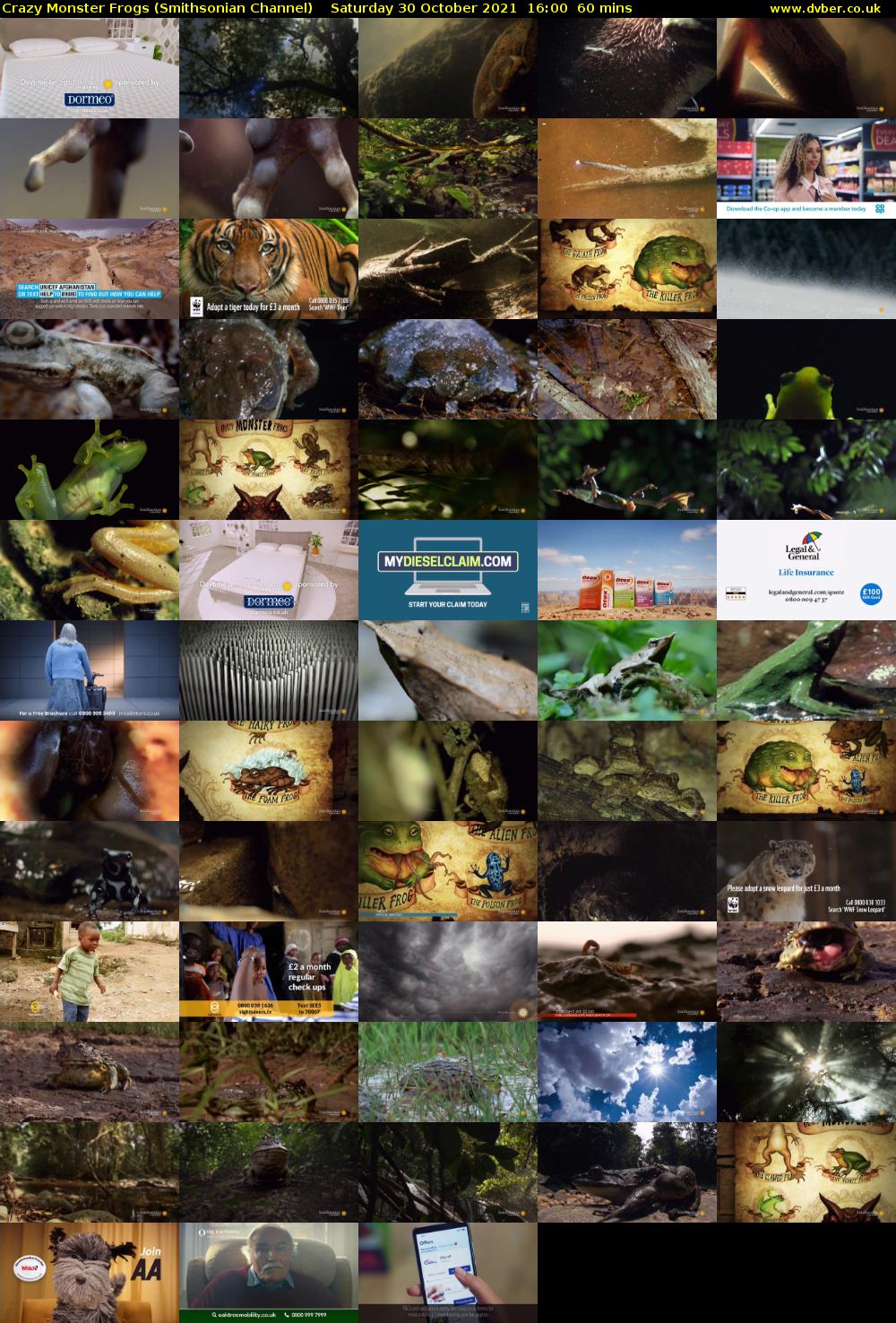Crazy Monster Frogs (Smithsonian Channel) Saturday 30 October 2021 16:00 - 17:00