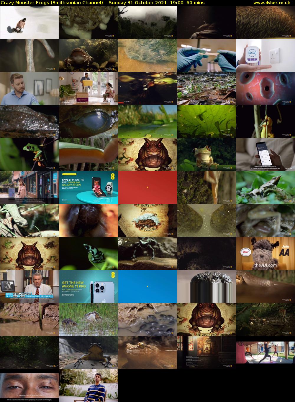 Crazy Monster Frogs (Smithsonian Channel) Sunday 31 October 2021 19:00 - 20:00