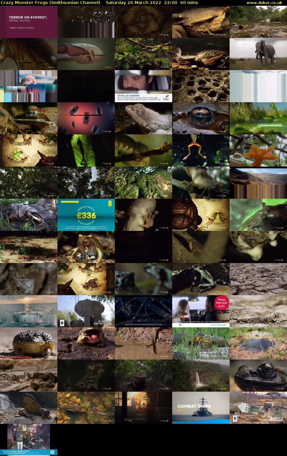 Crazy Monster Frogs (Smithsonian Channel) Saturday 26 March 2022 22:00 - 23:00