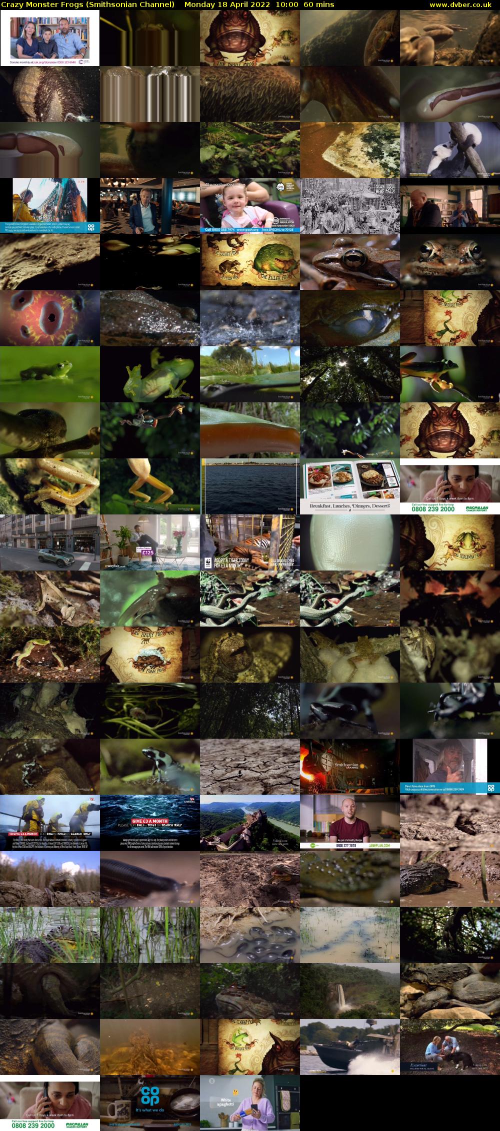 Crazy Monster Frogs (Smithsonian Channel) Monday 18 April 2022 10:00 - 11:00