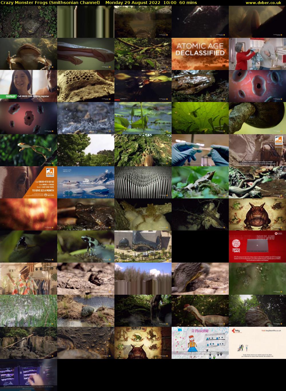 Crazy Monster Frogs (Smithsonian Channel) Monday 29 August 2022 10:00 - 11:00