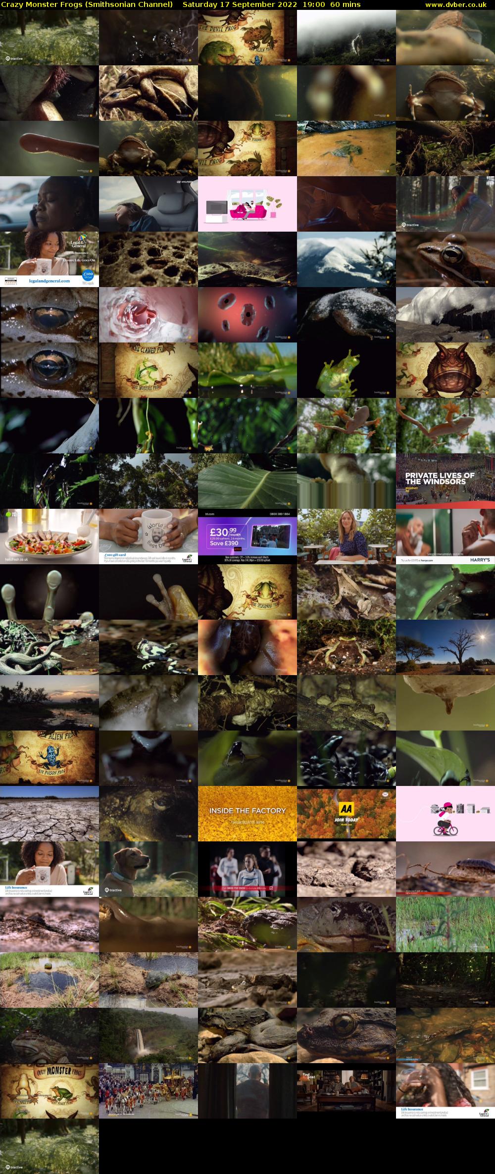 Crazy Monster Frogs (Smithsonian Channel) Saturday 17 September 2022 19:00 - 20:00