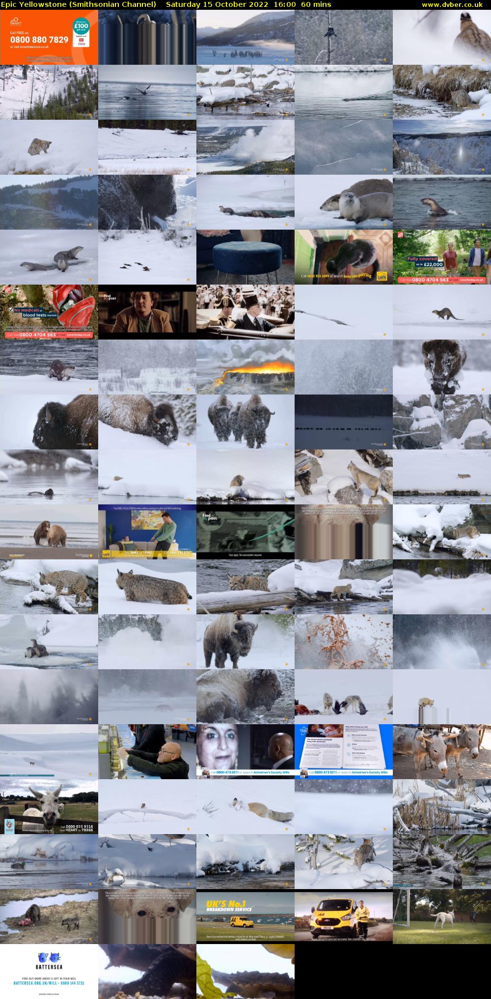Epic Yellowstone (Smithsonian Channel) Saturday 15 October 2022 16:00 - 17:00