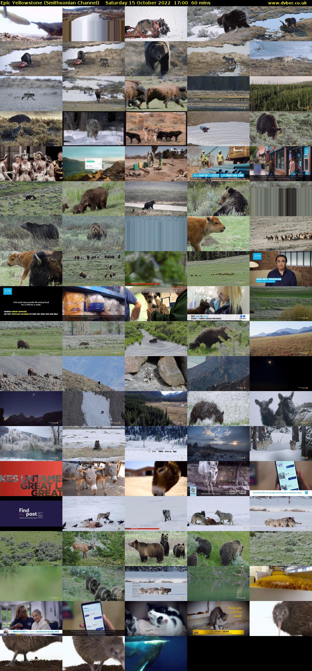 Epic Yellowstone (Smithsonian Channel) Saturday 15 October 2022 17:00 - 18:00