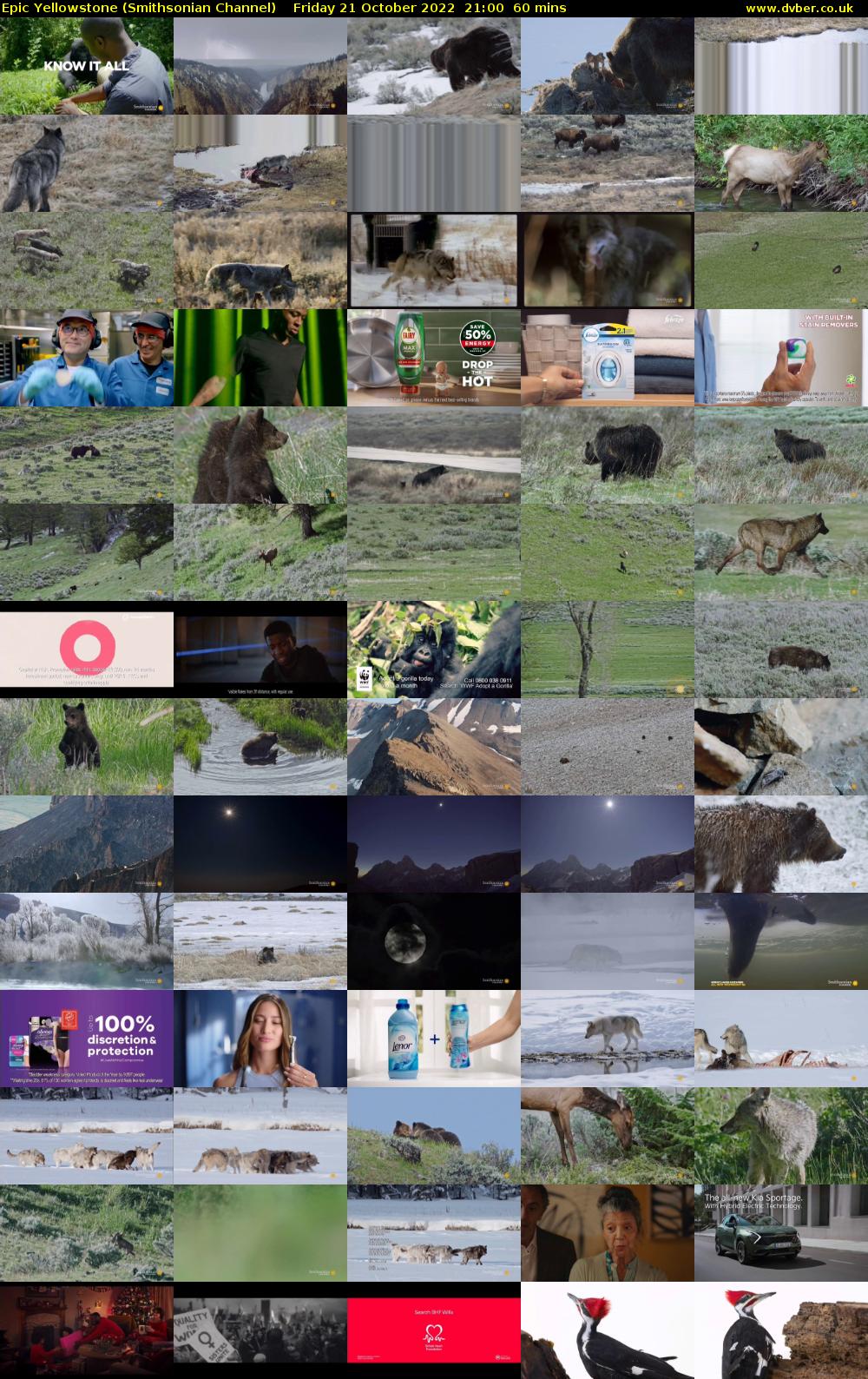 Epic Yellowstone (Smithsonian Channel) Friday 21 October 2022 21:00 - 22:00