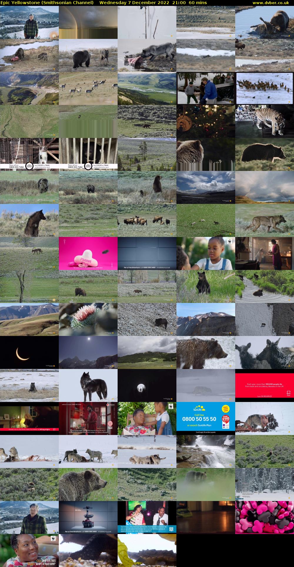 Epic Yellowstone (Smithsonian Channel) Wednesday 7 December 2022 21:00 - 22:00