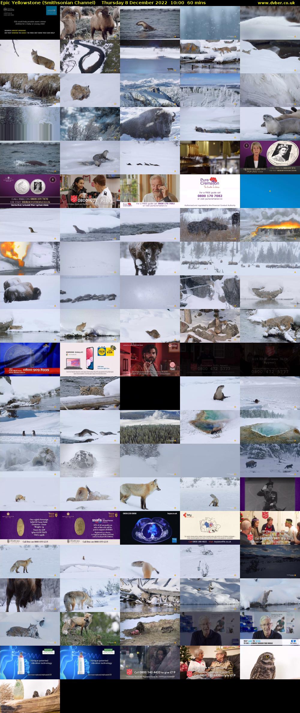 Epic Yellowstone (Smithsonian Channel) Thursday 8 December 2022 10:00 - 11:00