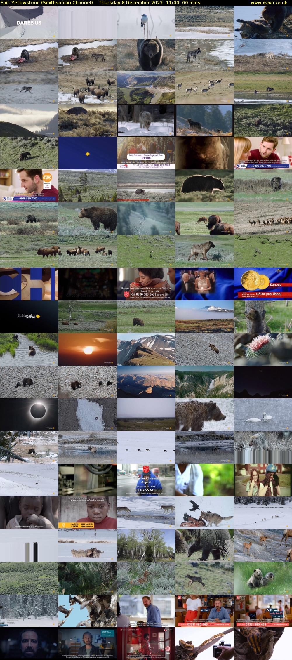 Epic Yellowstone (Smithsonian Channel) Thursday 8 December 2022 11:00 - 12:00