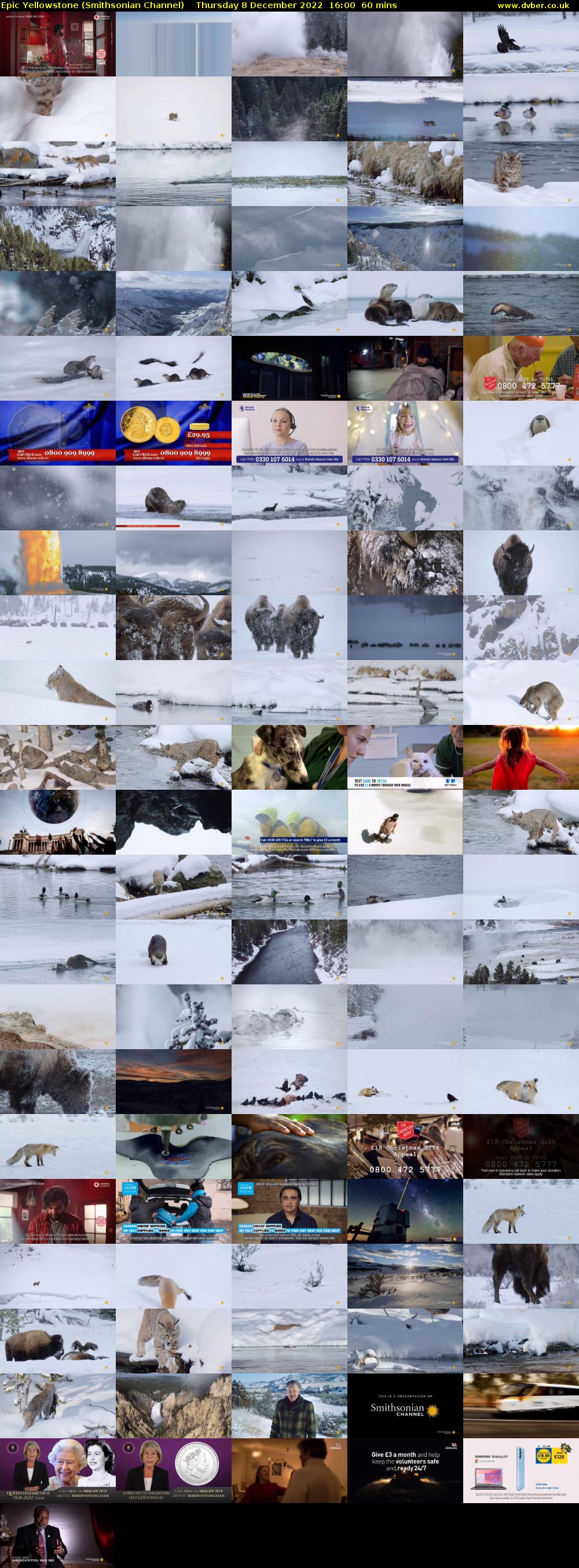 Epic Yellowstone (Smithsonian Channel) Thursday 8 December 2022 16:00 - 17:00