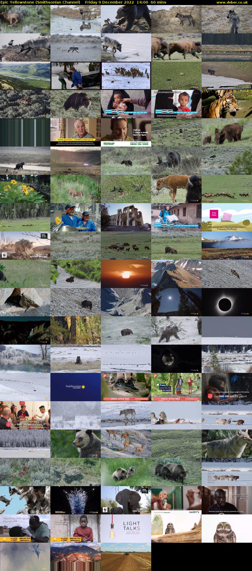 Epic Yellowstone (Smithsonian Channel) Friday 9 December 2022 14:00 - 15:00