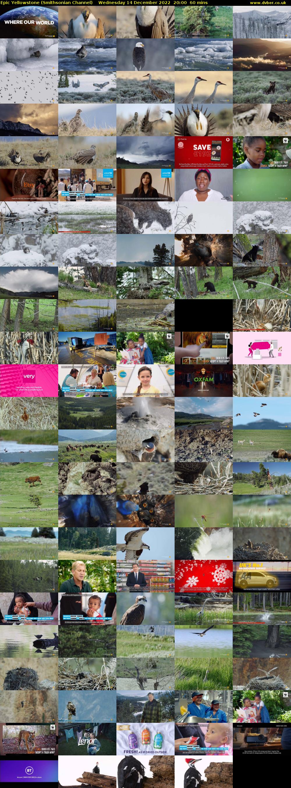 Epic Yellowstone (Smithsonian Channel) Wednesday 14 December 2022 20:00 - 21:00