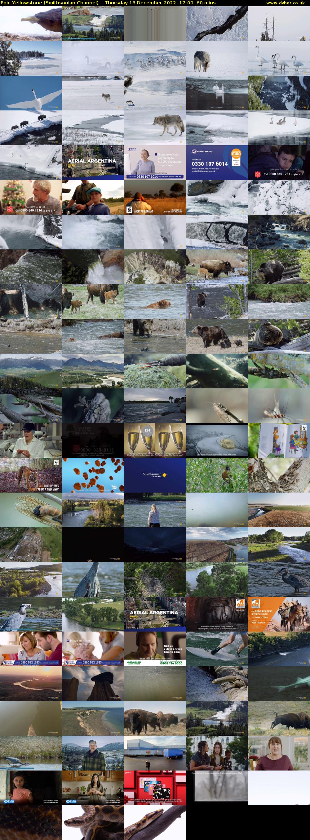 Epic Yellowstone (Smithsonian Channel) Thursday 15 December 2022 17:00 - 18:00