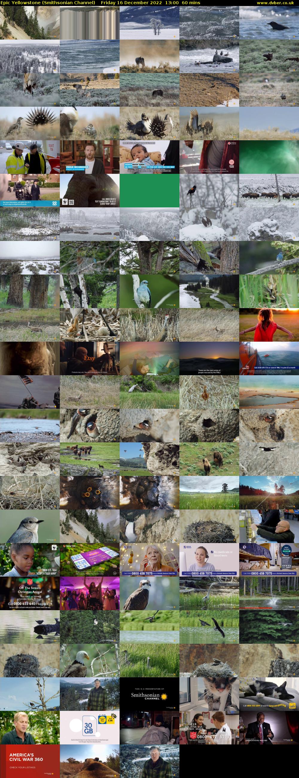 Epic Yellowstone (Smithsonian Channel) Friday 16 December 2022 13:00 - 14:00