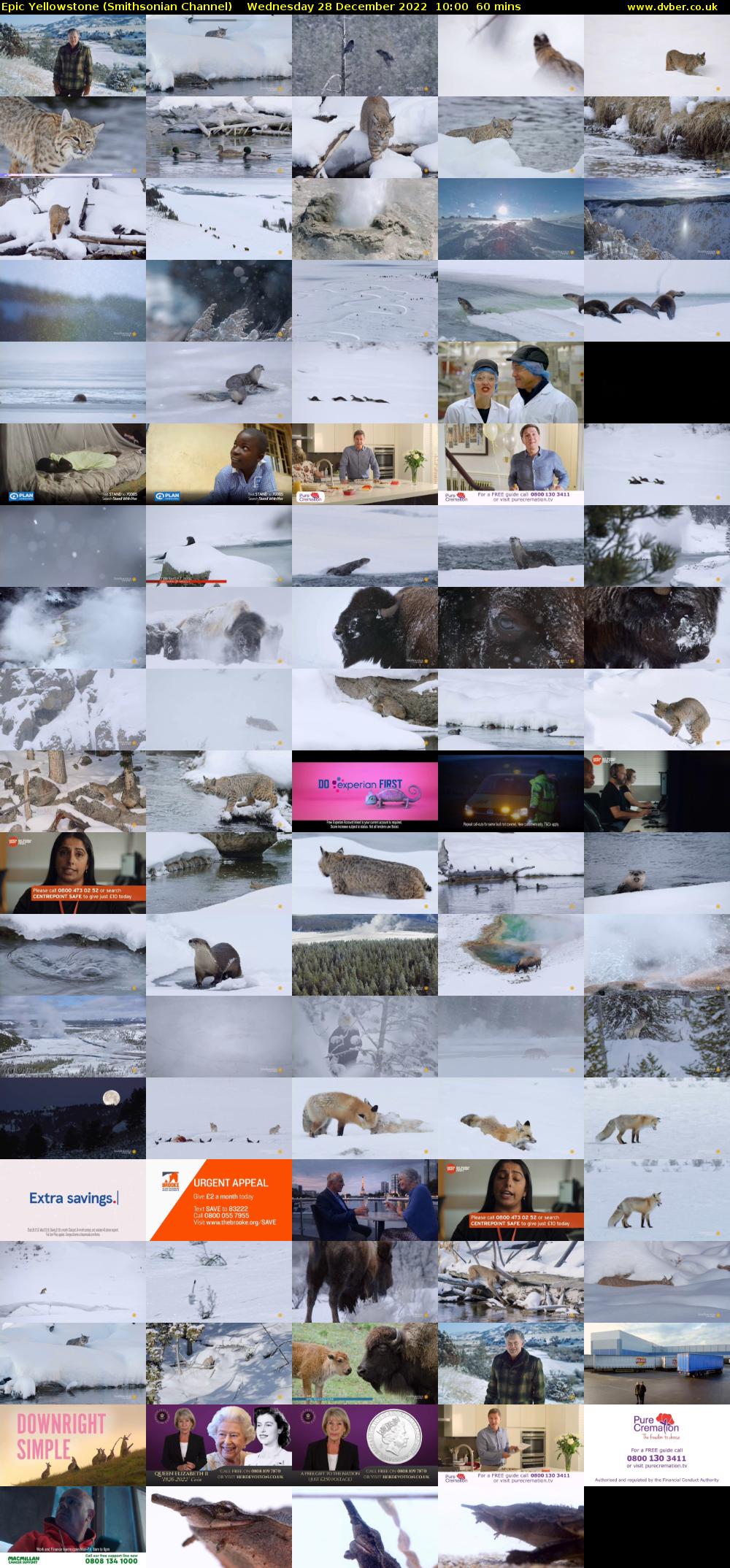 Epic Yellowstone (Smithsonian Channel) Wednesday 28 December 2022 10:00 - 11:00