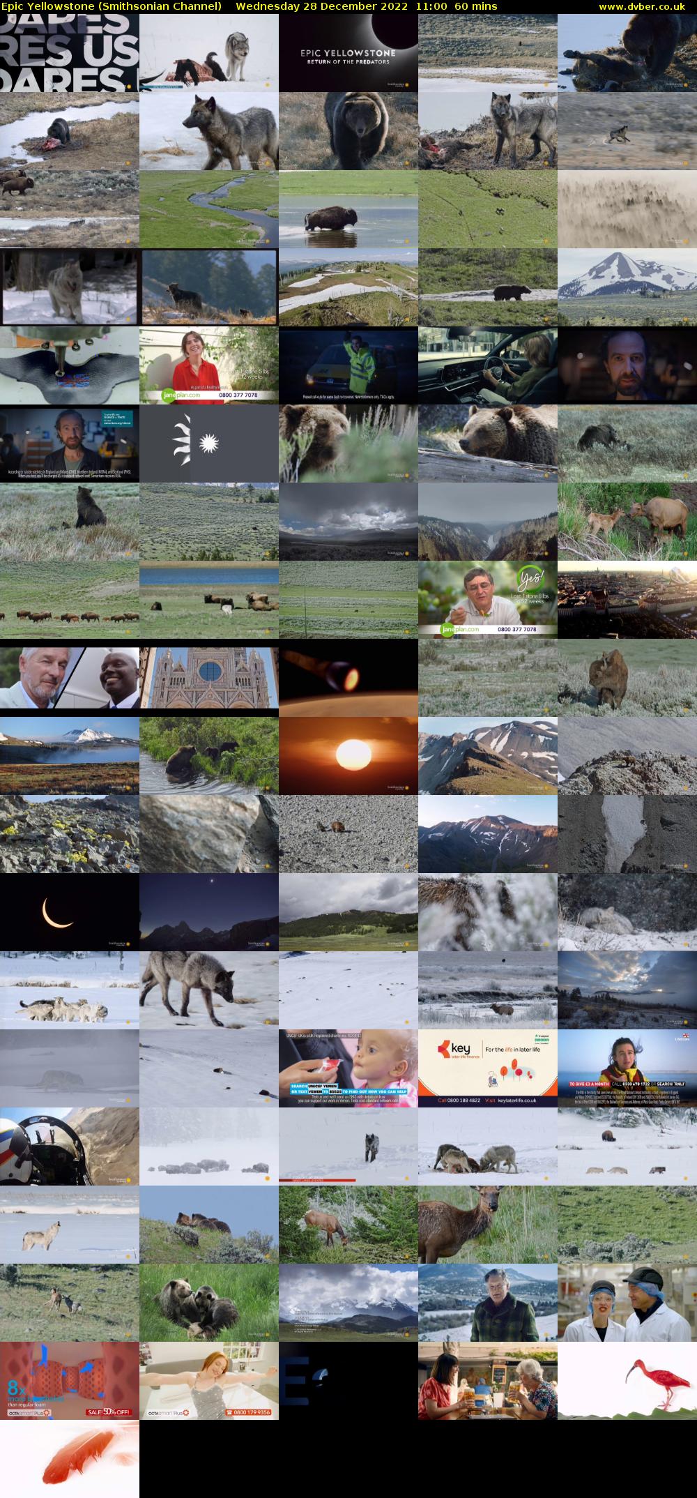 Epic Yellowstone (Smithsonian Channel) Wednesday 28 December 2022 11:00 - 12:00