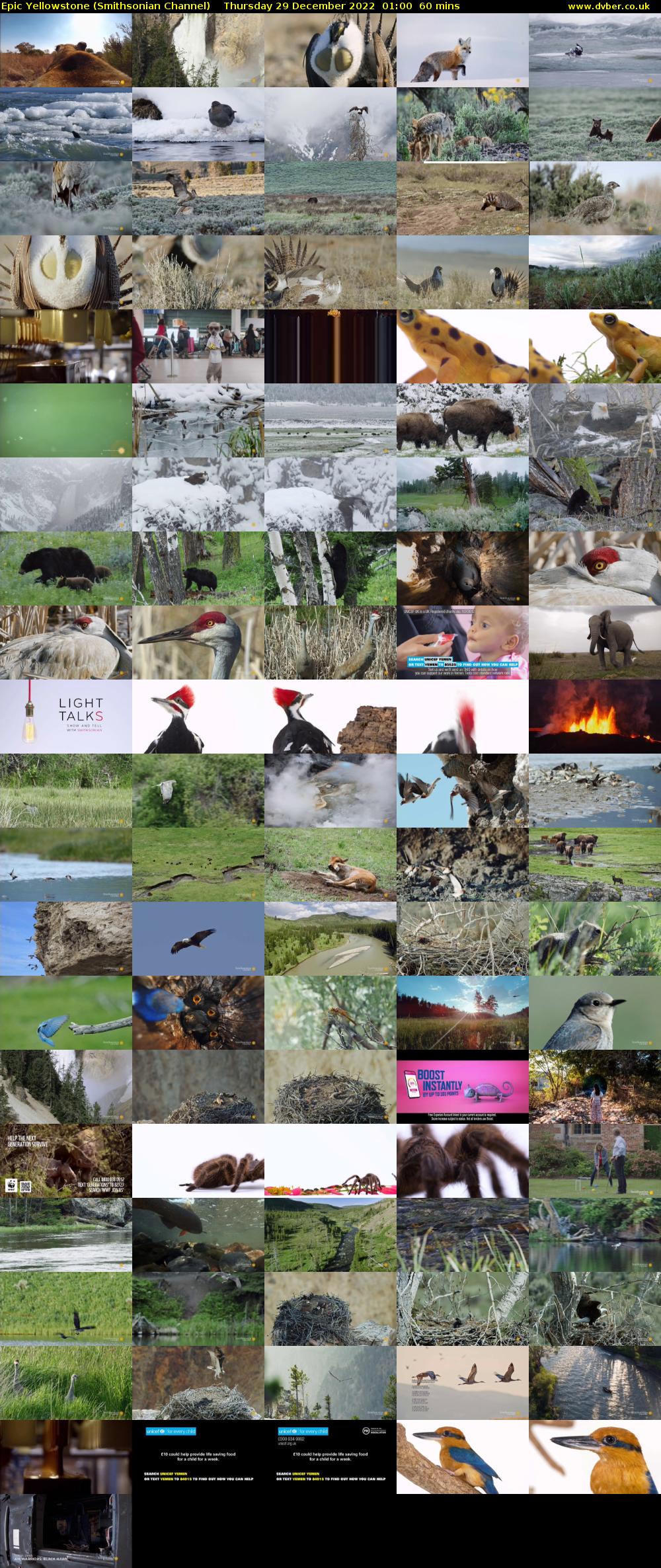 Epic Yellowstone (Smithsonian Channel) Thursday 29 December 2022 01:00 - 02:00