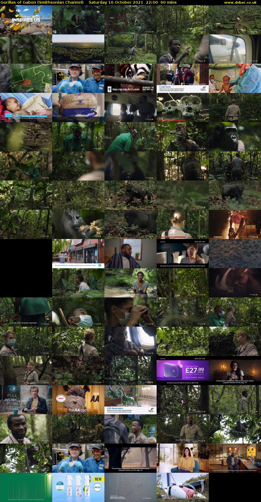 Gorillas of Gabon (Smithsonian Channel) Saturday 16 October 2021 22:00 - 23:00