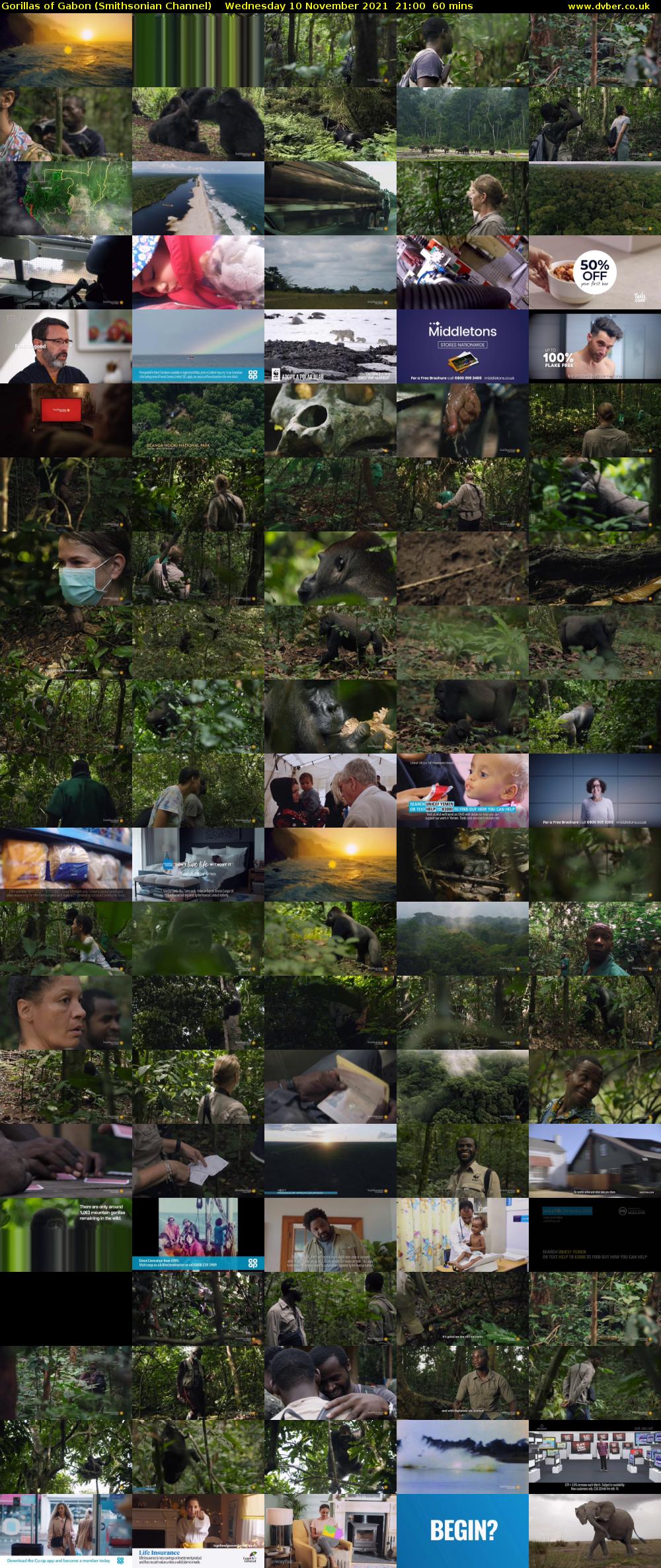 Gorillas of Gabon (Smithsonian Channel) Wednesday 10 November 2021 21:00 - 22:00