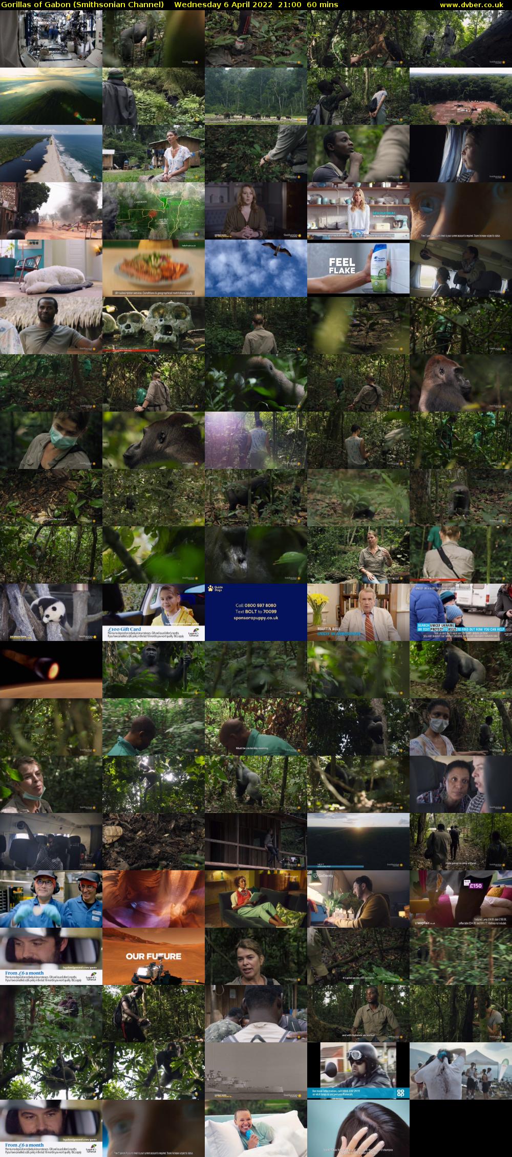 Gorillas of Gabon (Smithsonian Channel) Wednesday 6 April 2022 21:00 - 22:00