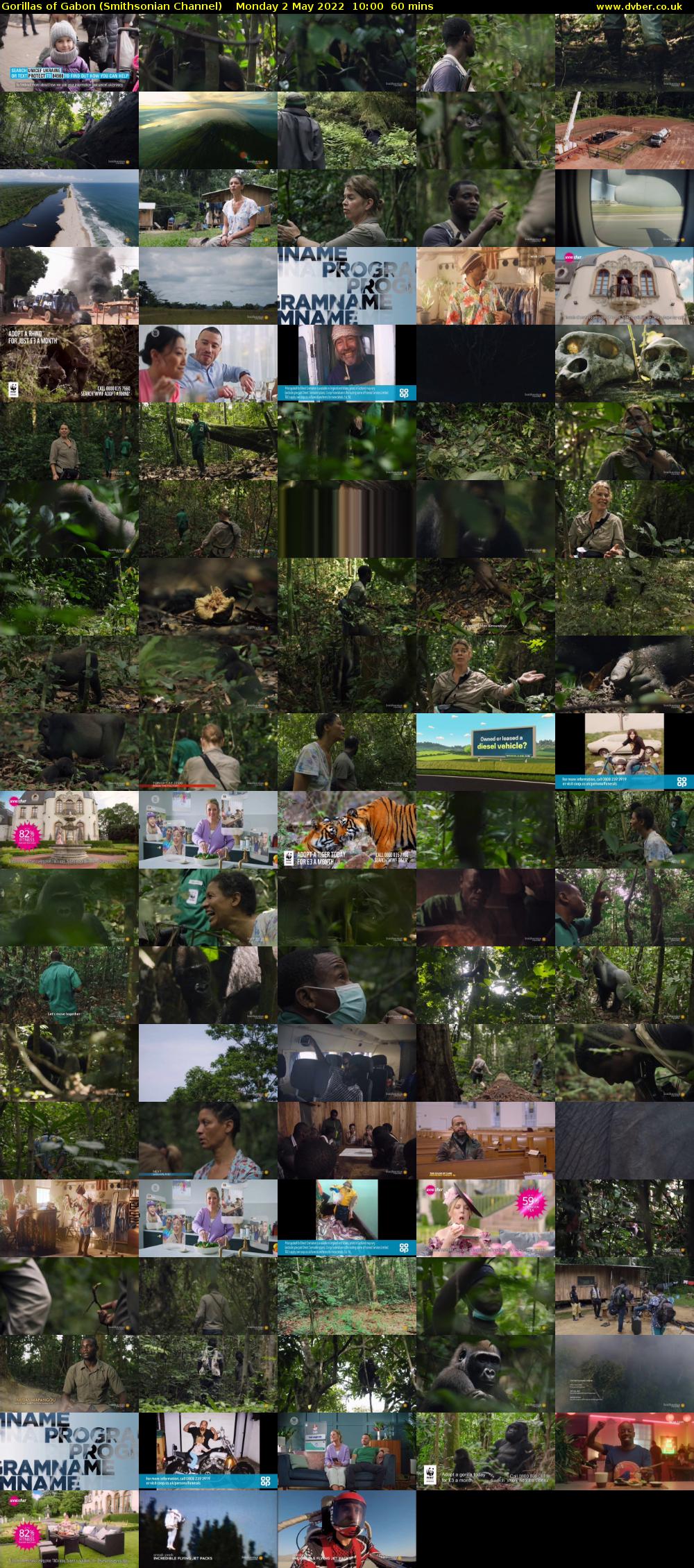 Gorillas of Gabon (Smithsonian Channel) Monday 2 May 2022 10:00 - 11:00