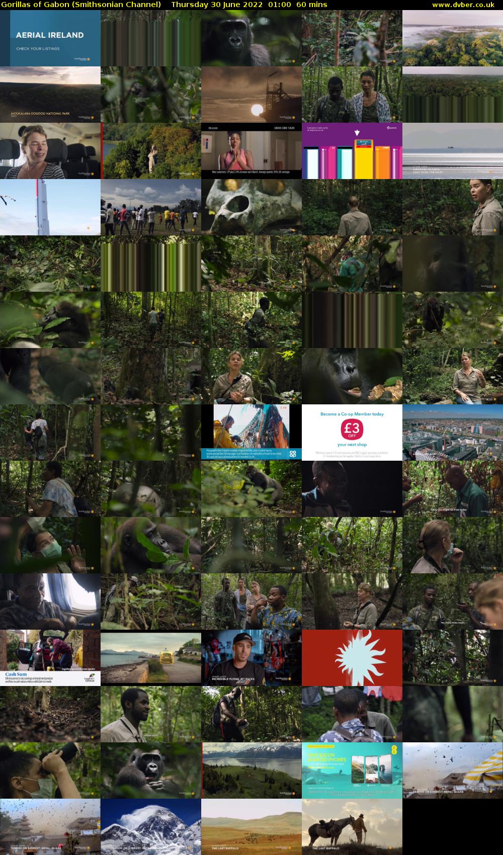 Gorillas of Gabon (Smithsonian Channel) Thursday 30 June 2022 01:00 - 02:00