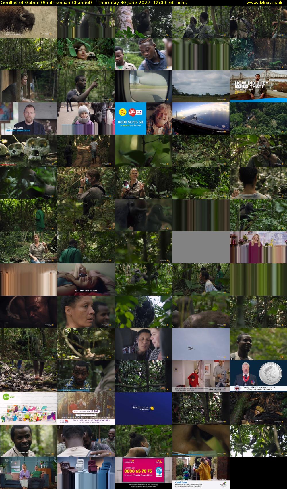 Gorillas of Gabon (Smithsonian Channel) Thursday 30 June 2022 12:00 - 13:00