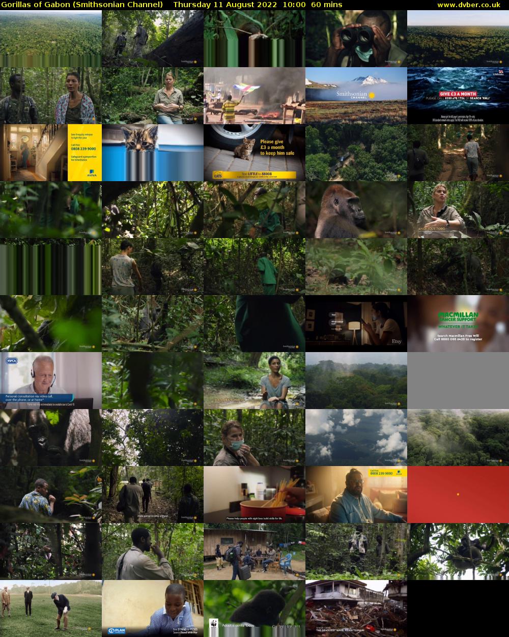 Gorillas of Gabon (Smithsonian Channel) Thursday 11 August 2022 10:00 - 11:00