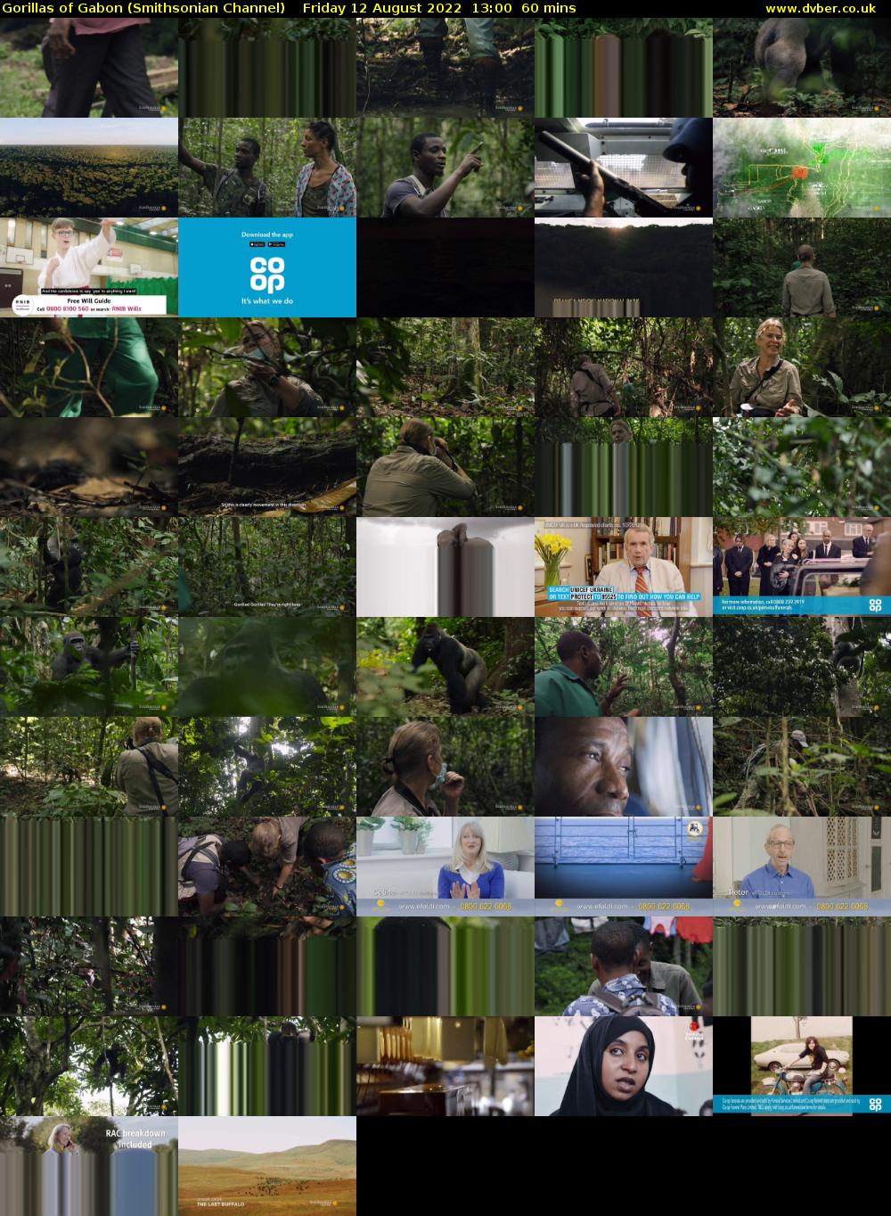 Gorillas of Gabon (Smithsonian Channel) Friday 12 August 2022 13:00 - 14:00