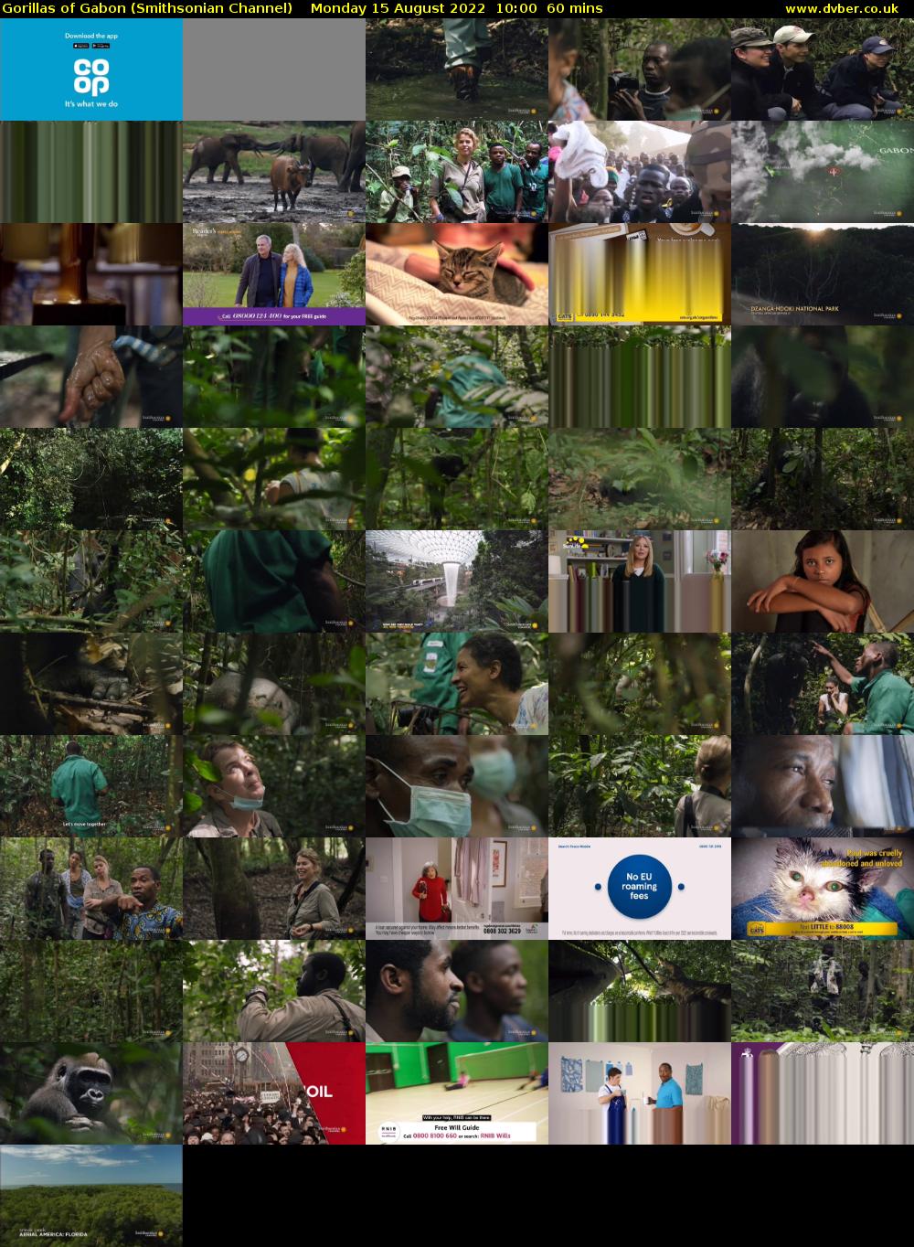 Gorillas of Gabon (Smithsonian Channel) Monday 15 August 2022 10:00 - 11:00