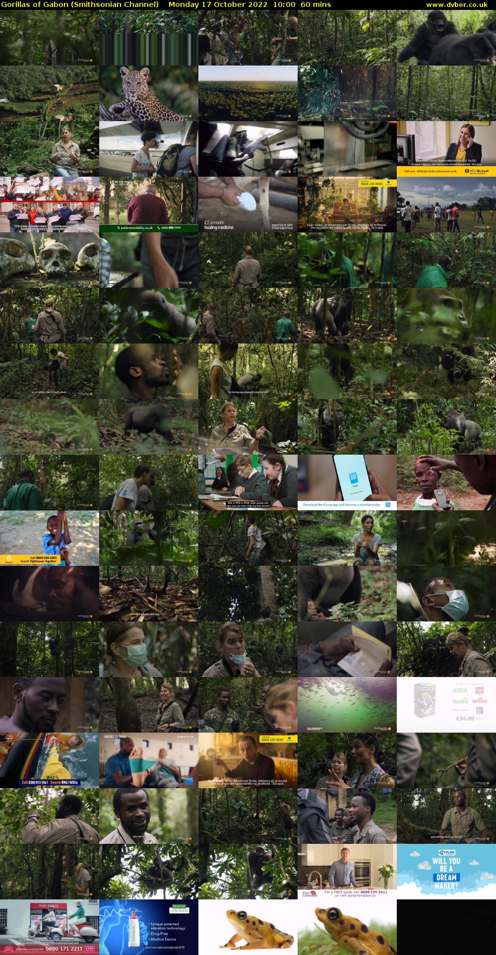 Gorillas of Gabon (Smithsonian Channel) Monday 17 October 2022 10:00 - 11:00