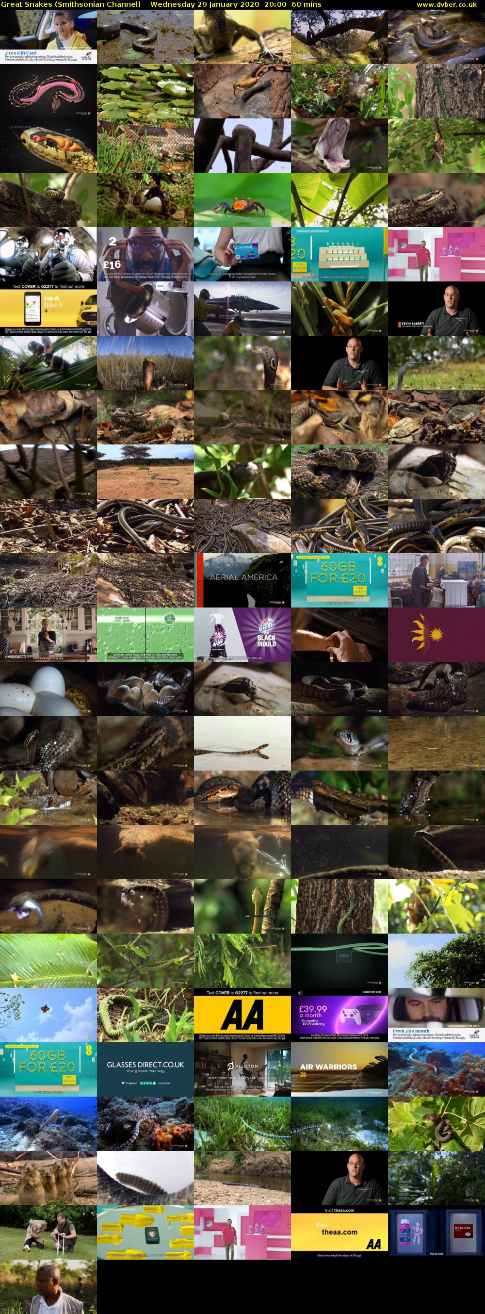 Great Snakes (Smithsonian Channel) Wednesday 29 January 2020 20:00 - 21:00