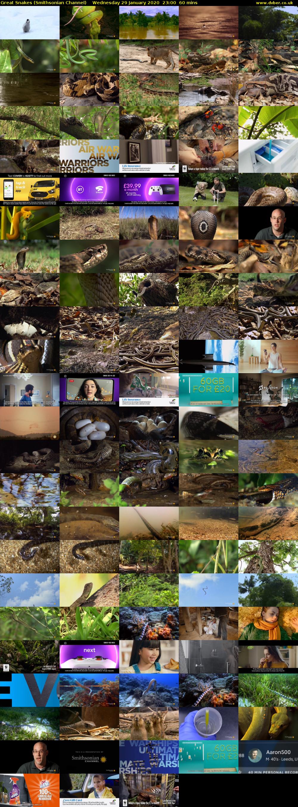 Great Snakes (Smithsonian Channel) Wednesday 29 January 2020 23:00 - 00:00