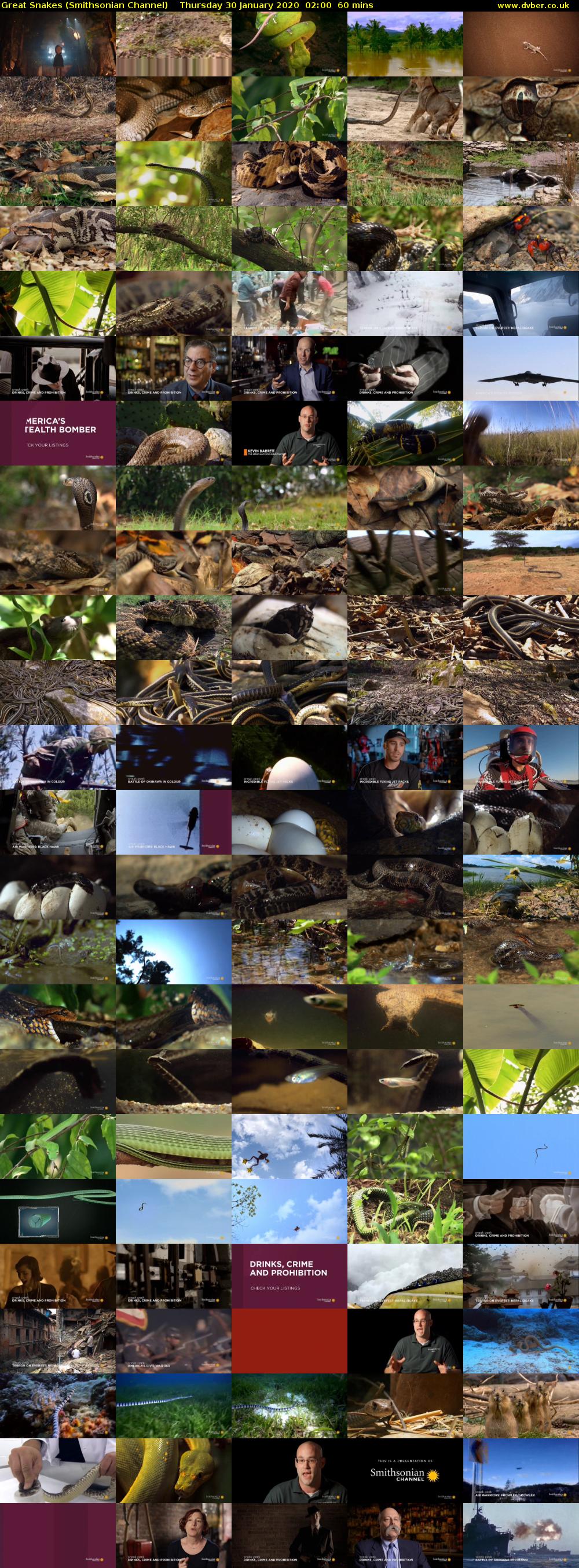 Great Snakes (Smithsonian Channel) Thursday 30 January 2020 02:00 - 03:00