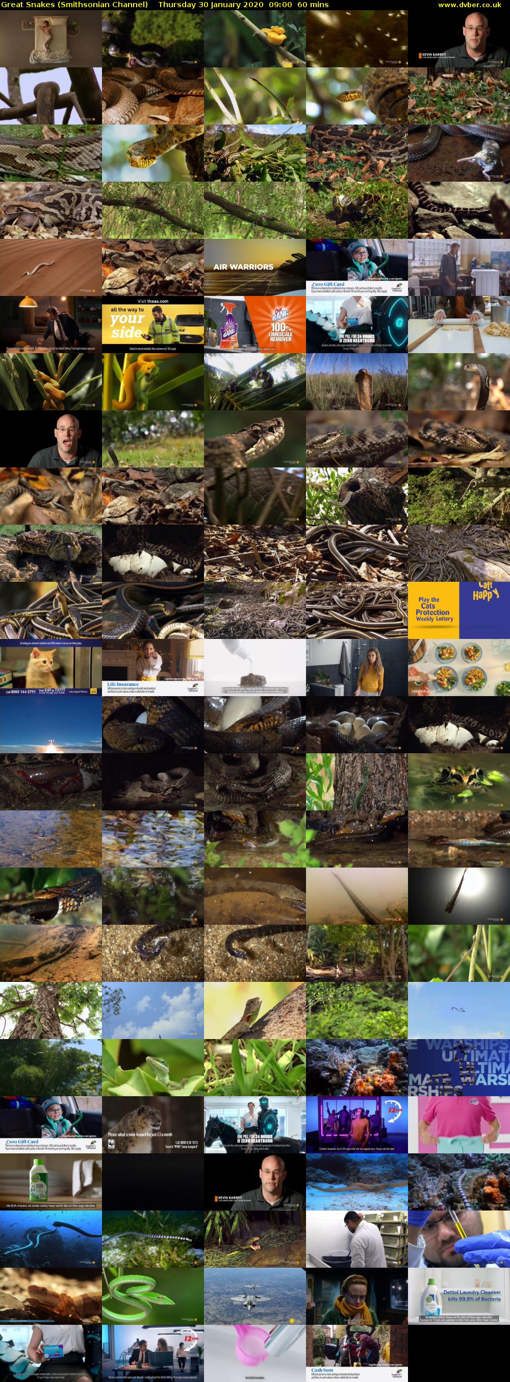 Great Snakes (Smithsonian Channel) Thursday 30 January 2020 09:00 - 10:00
