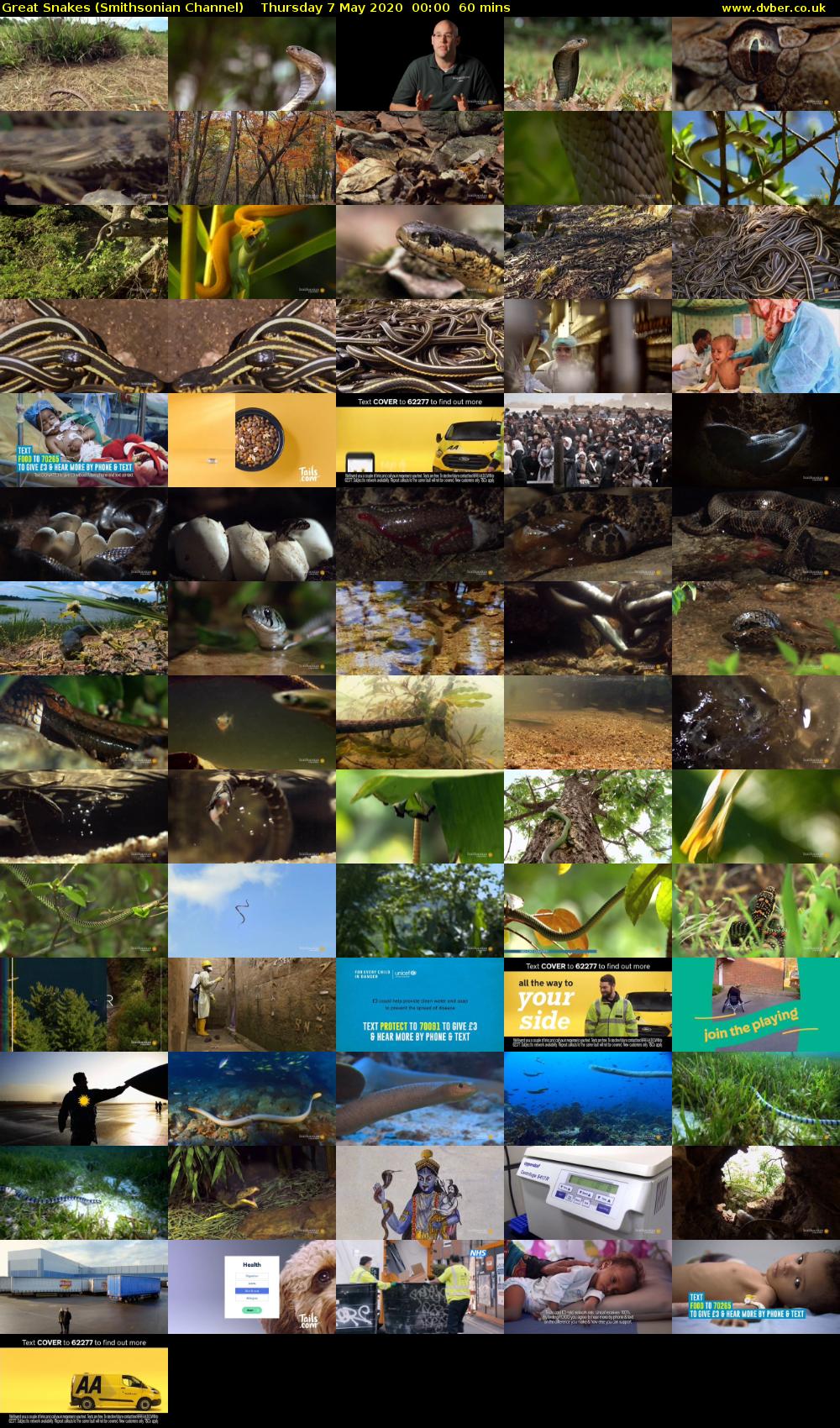 Great Snakes (Smithsonian Channel) Thursday 7 May 2020 00:00 - 01:00