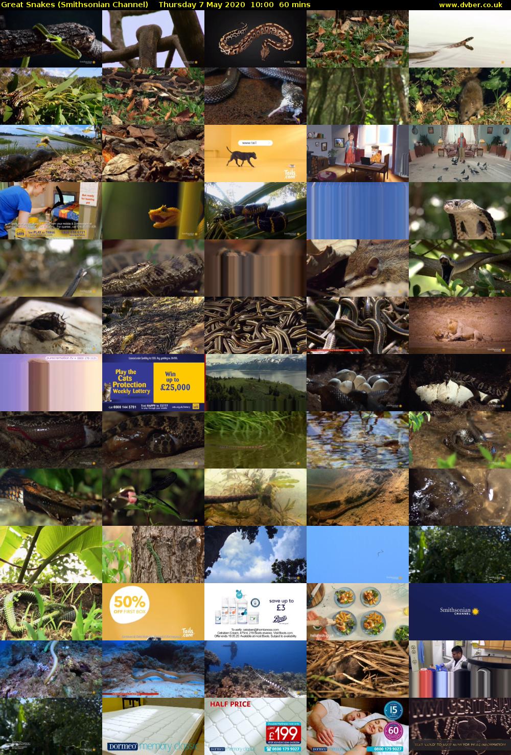 Great Snakes (Smithsonian Channel) Thursday 7 May 2020 10:00 - 11:00