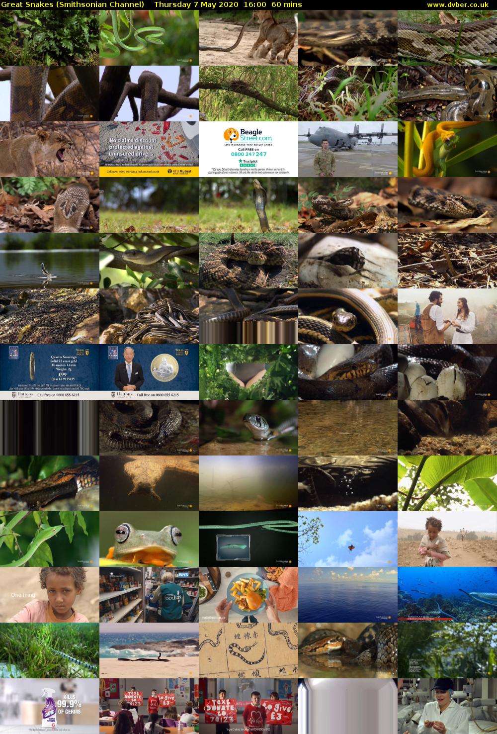Great Snakes (Smithsonian Channel) Thursday 7 May 2020 16:00 - 17:00