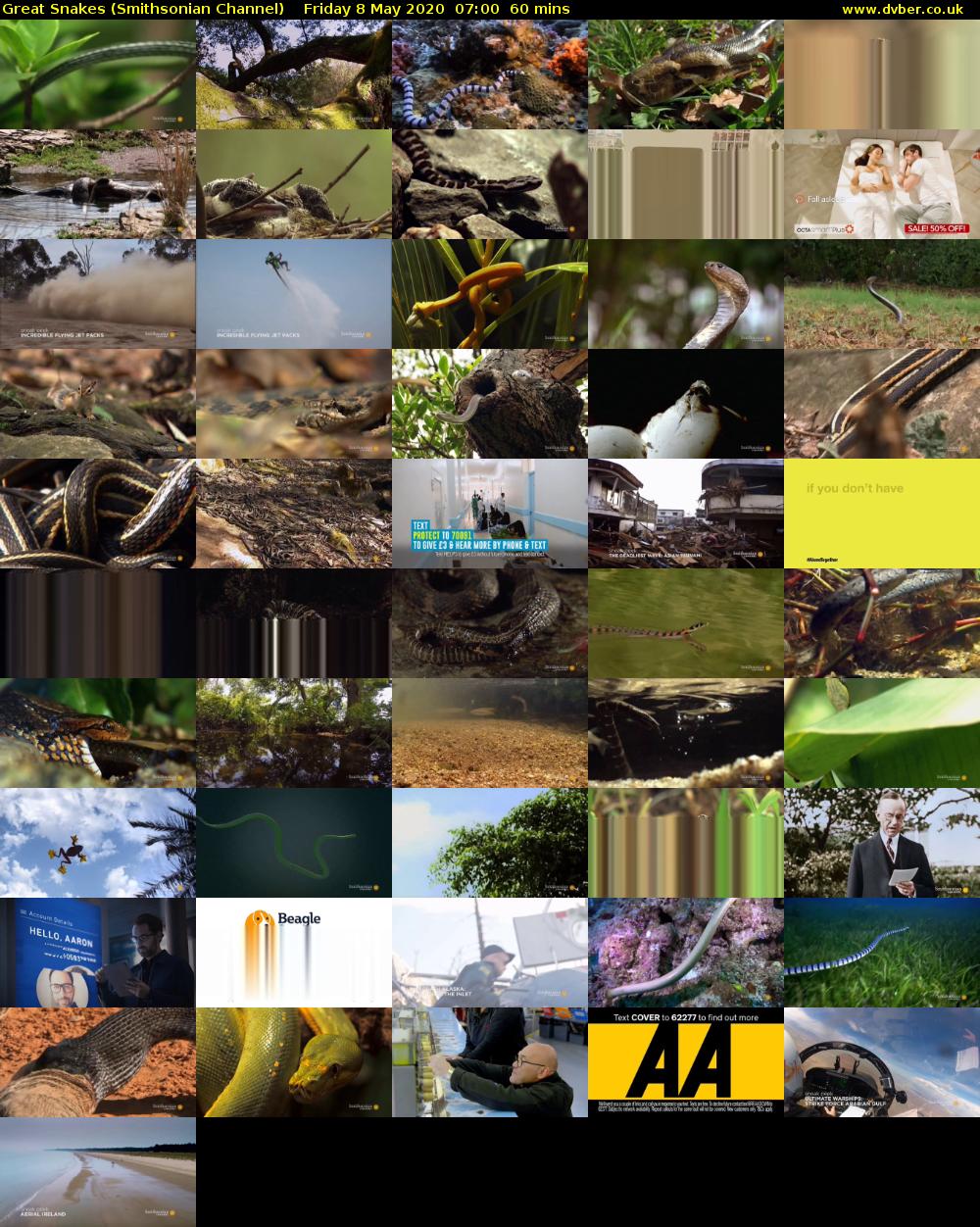 Great Snakes (Smithsonian Channel) Friday 8 May 2020 07:00 - 08:00