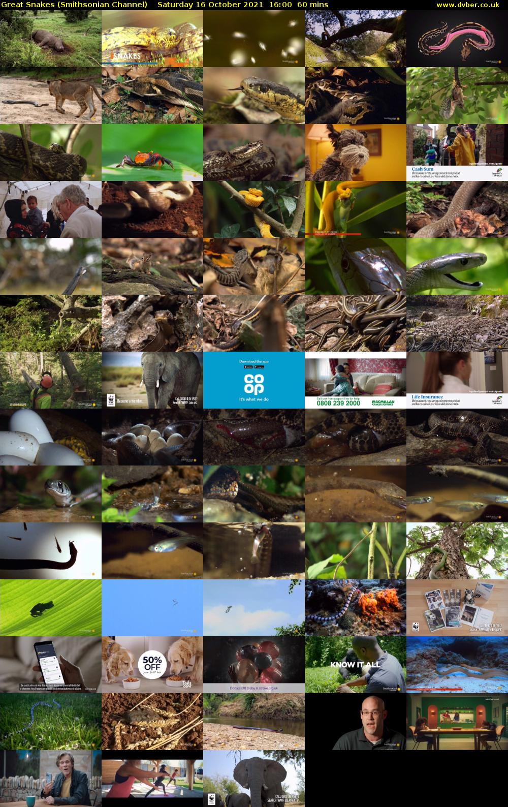 Great Snakes (Smithsonian Channel) Saturday 16 October 2021 16:00 - 17:00