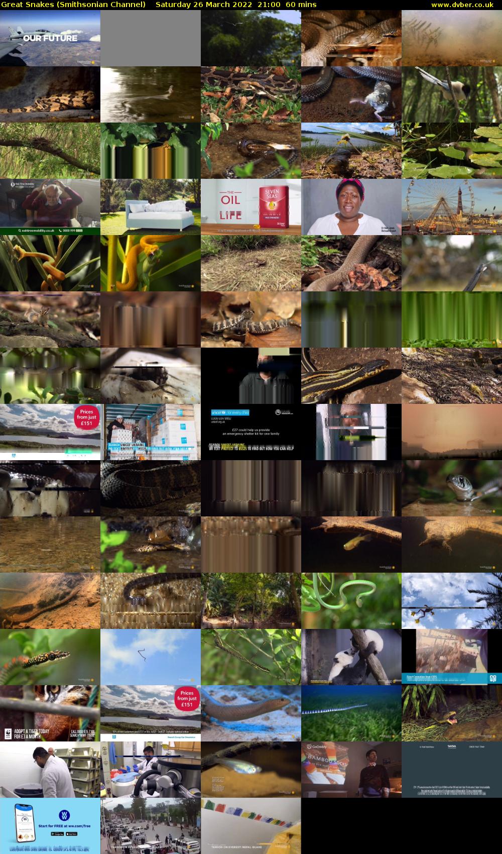 Great Snakes (Smithsonian Channel) Saturday 26 March 2022 21:00 - 22:00