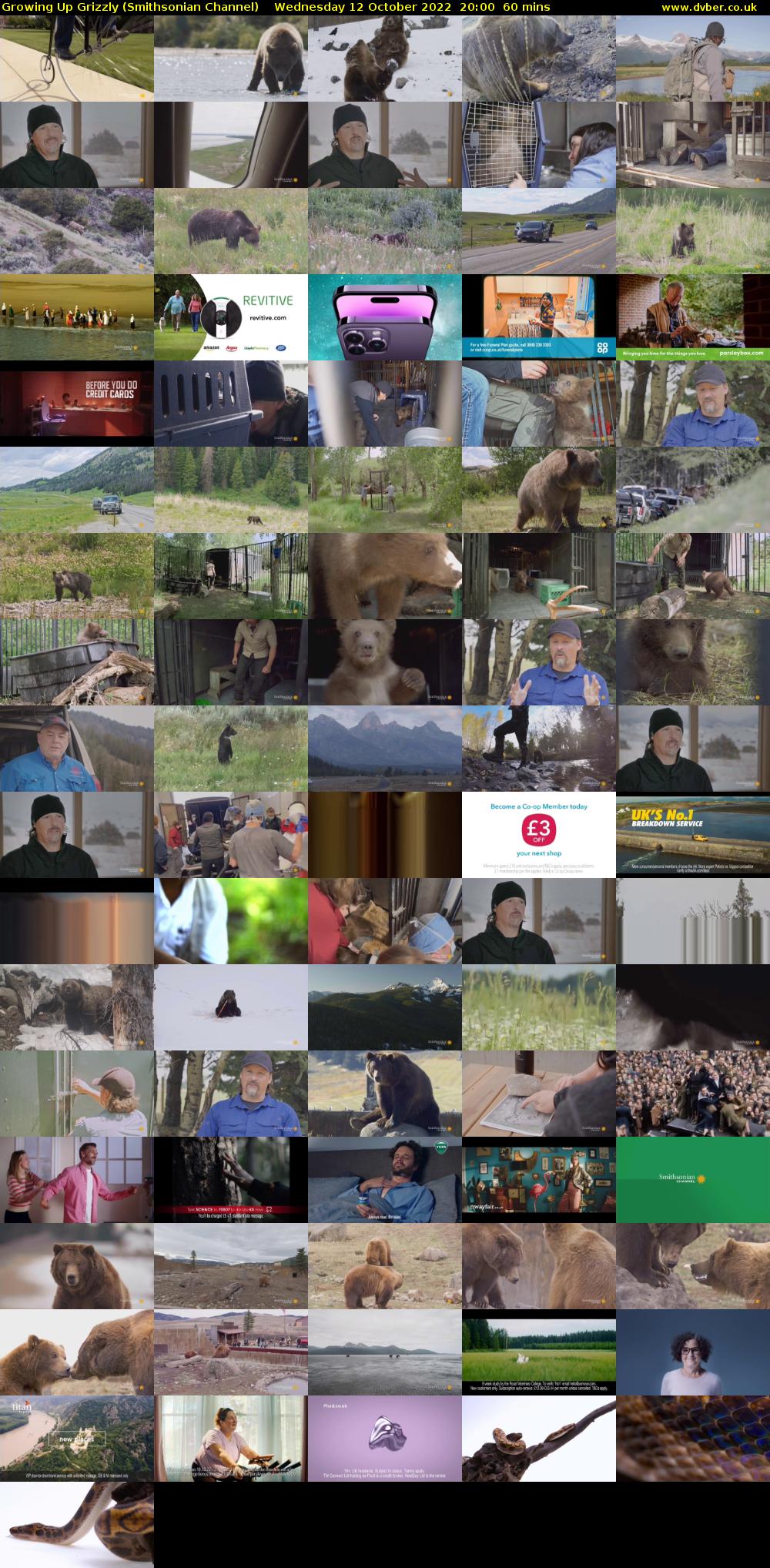 Growing Up Grizzly (Smithsonian Channel) Wednesday 12 October 2022 20:00 - 21:00