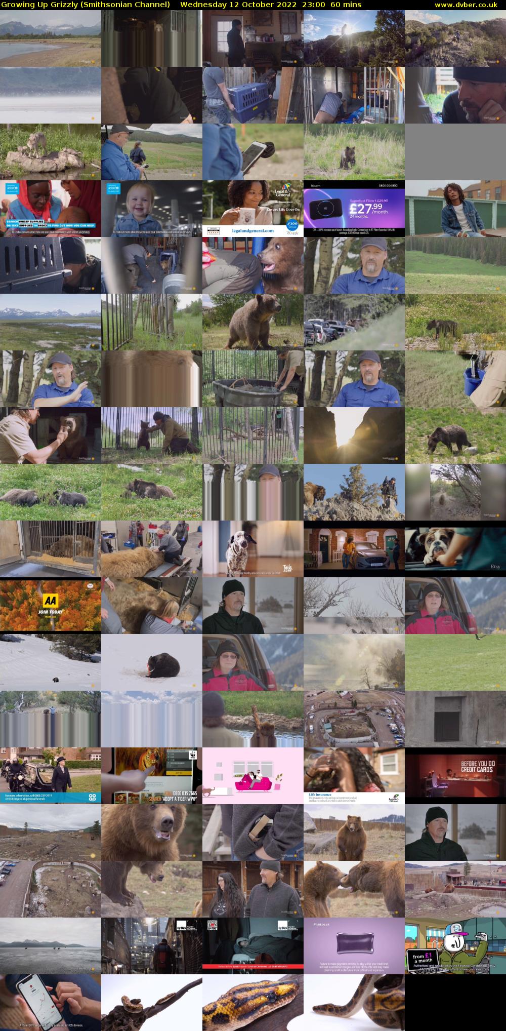 Growing Up Grizzly (Smithsonian Channel) Wednesday 12 October 2022 23:00 - 00:00