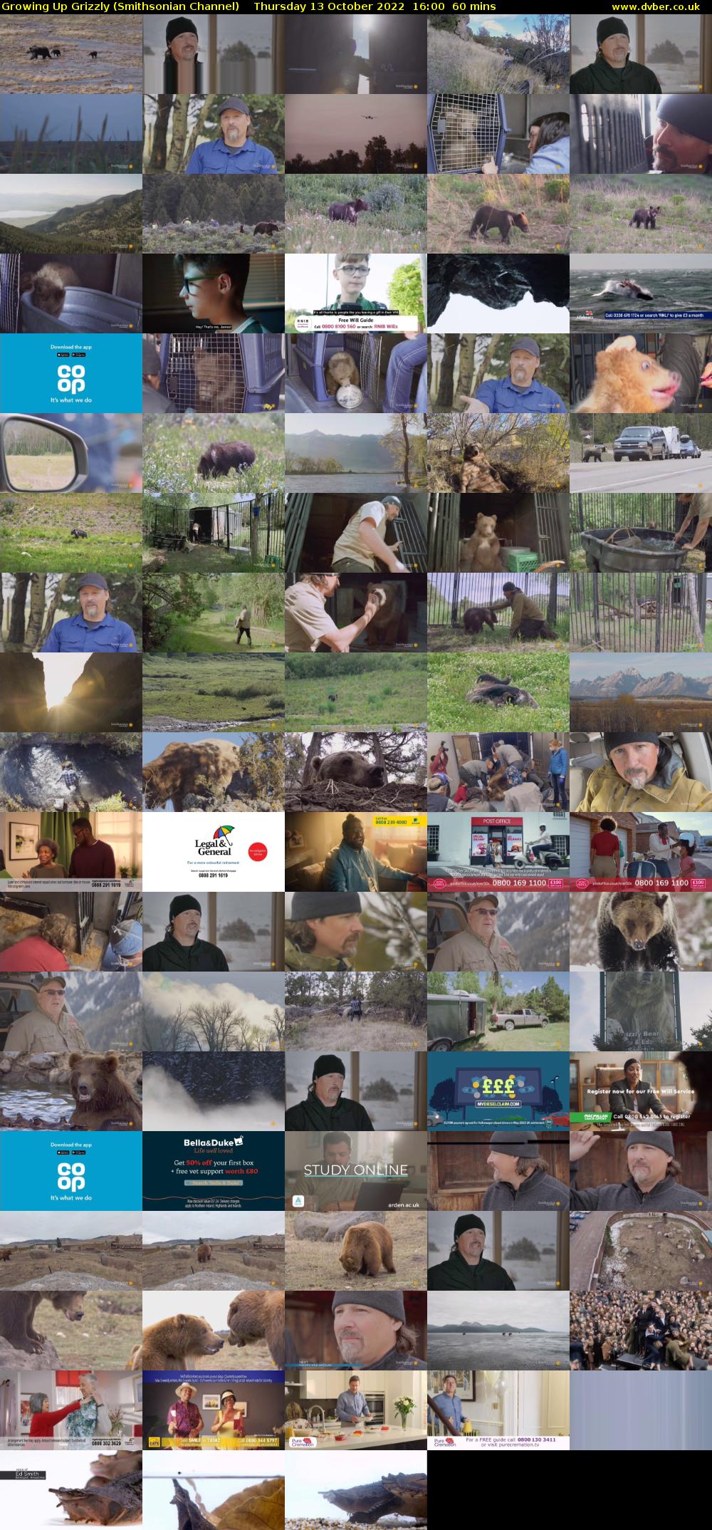 Growing Up Grizzly (Smithsonian Channel) Thursday 13 October 2022 16:00 - 17:00