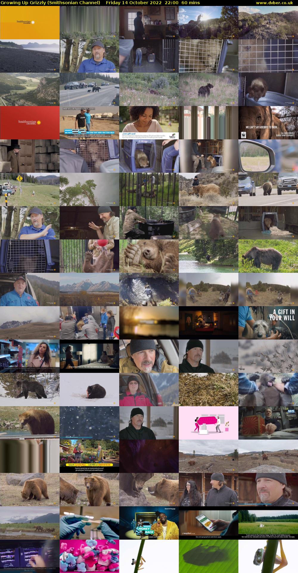 Growing Up Grizzly (Smithsonian Channel) Friday 14 October 2022 22:00 - 23:00