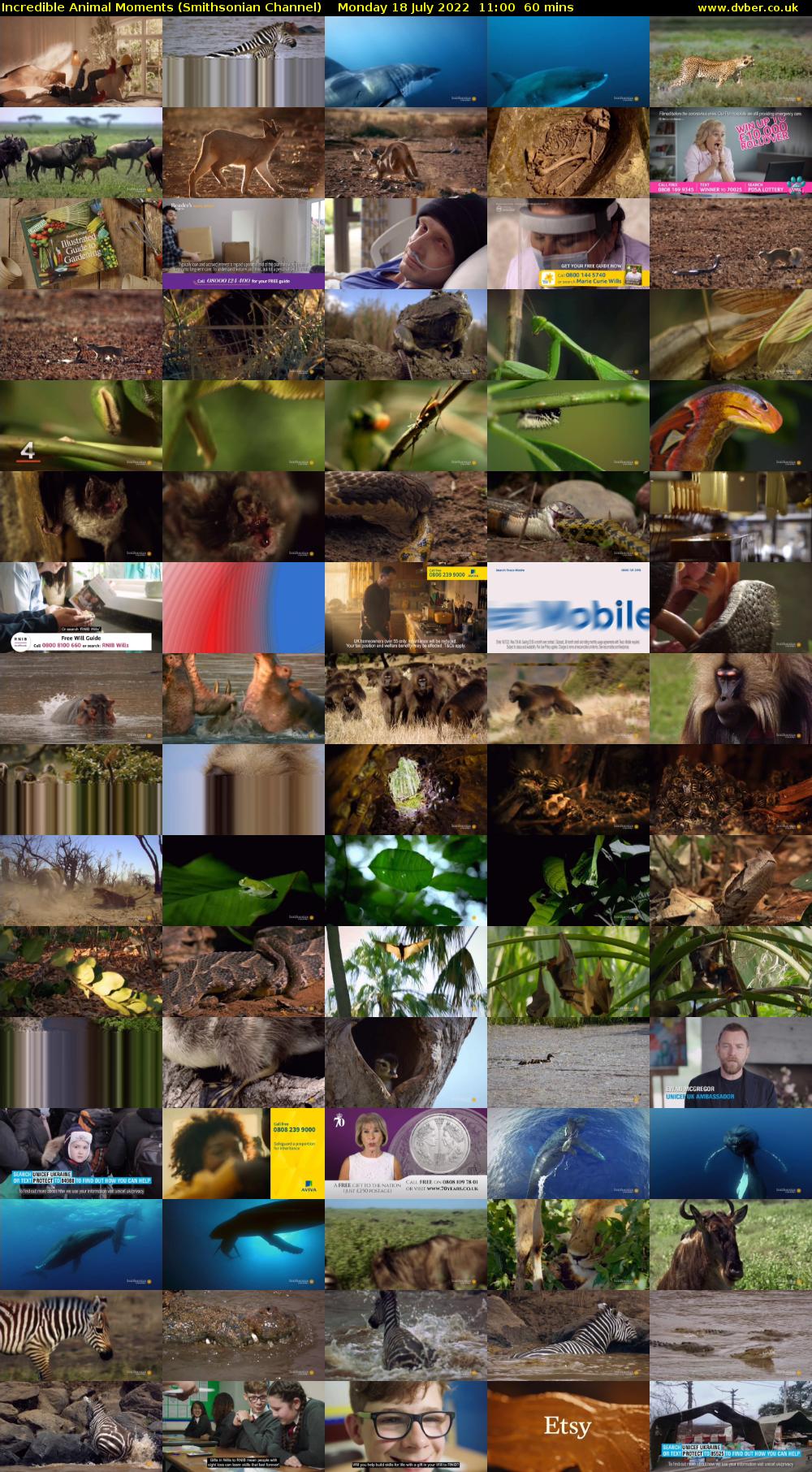 Incredible Animal Moments (Smithsonian Channel) Monday 18 July 2022 11:00 - 12:00