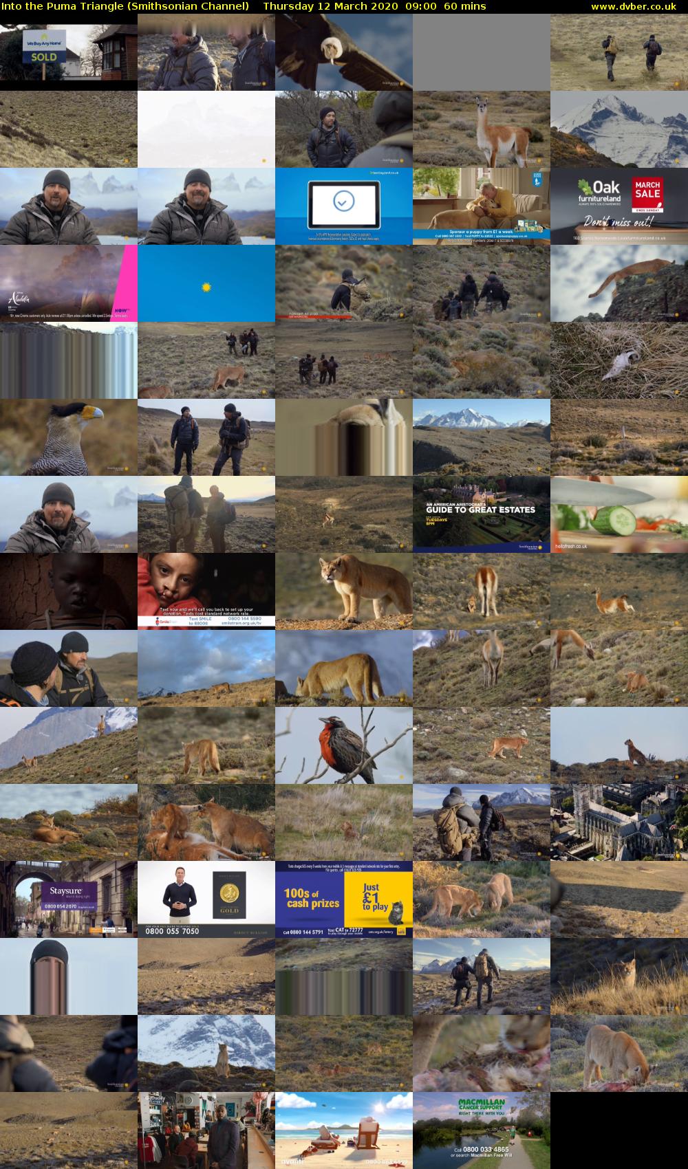 Into the Puma Triangle (Smithsonian Channel) Thursday 12 March 2020 09:00 - 10:00